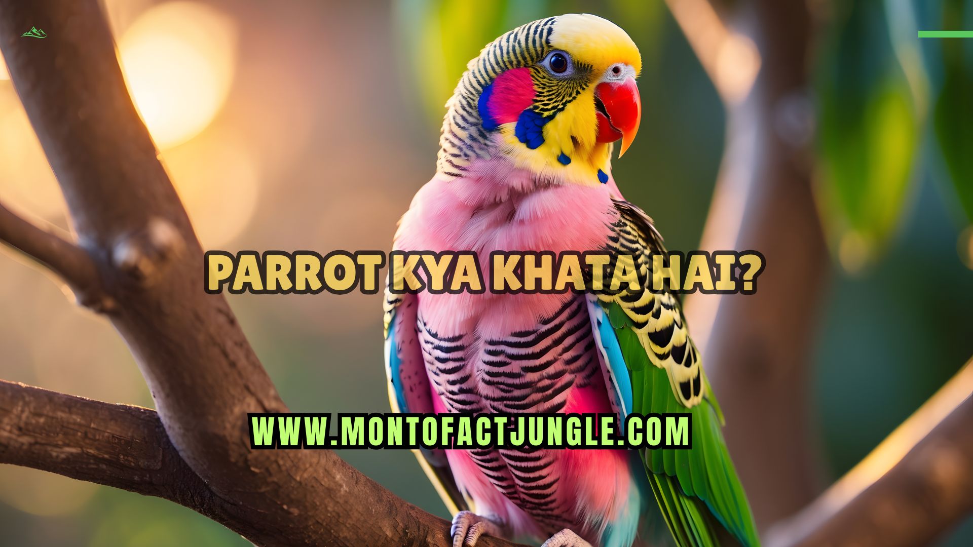 Parrot Kya Khata Hai? Tota Kya Khata Hai – Simple Bhasha Me