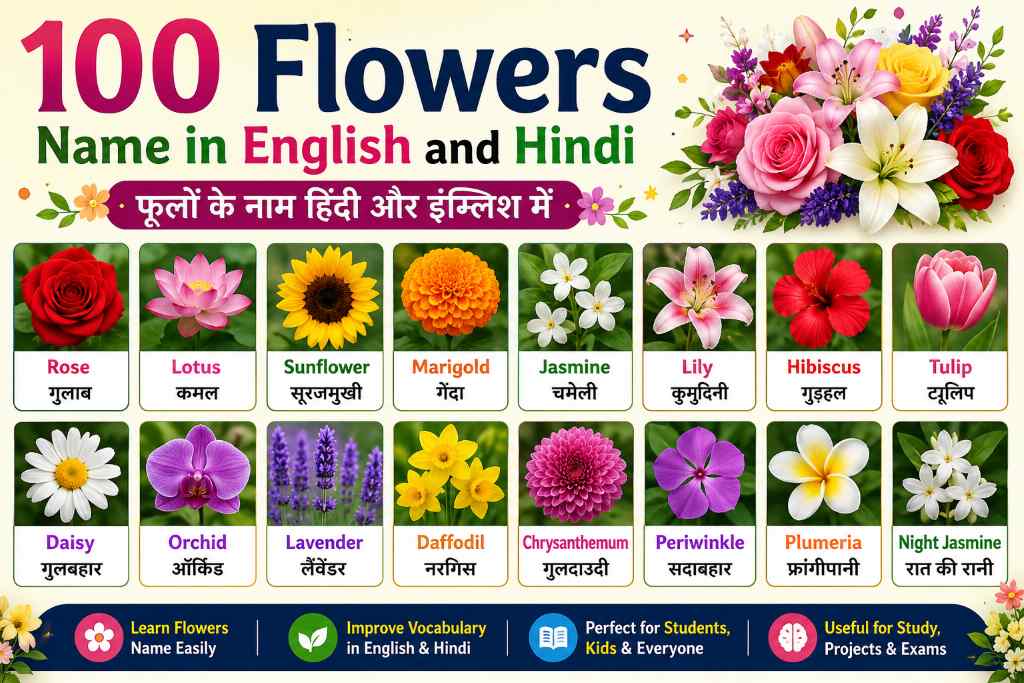 Complete list of 100 flowers name in English and Hindi with pictures for students, kids, teachers, and English learners.
