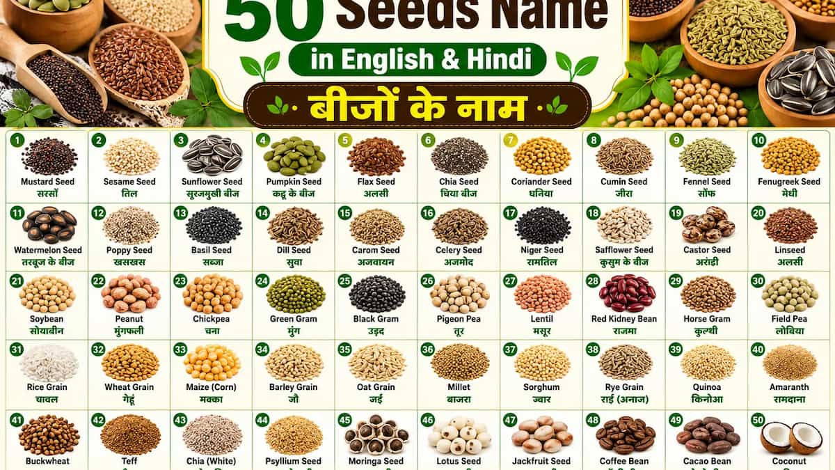 50 Seeds Name in English and Hindi with pictures showing mustard, sesame, sunflower, pumpkin, flax, chia, coriander, cumin, fennel, fenugreek, watermelon, and other common edible seeds.