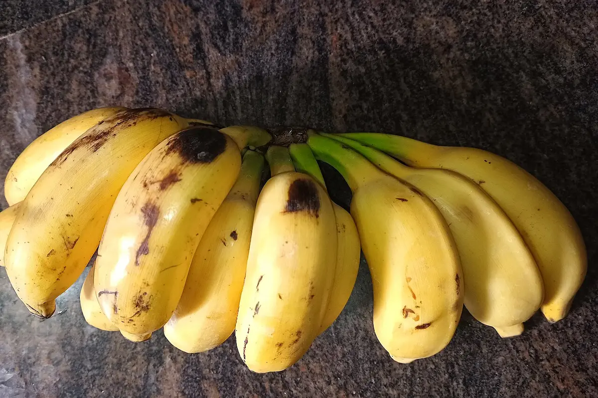 top view yelakki banana