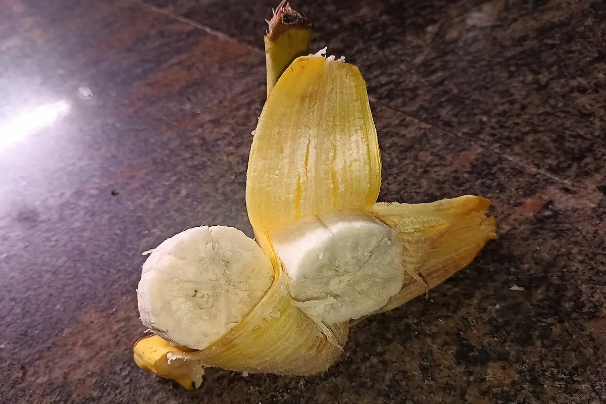 cross-section yelakki banana