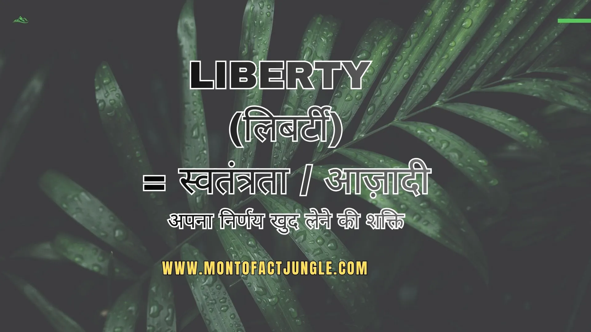Liberty Meaning In Hindi
