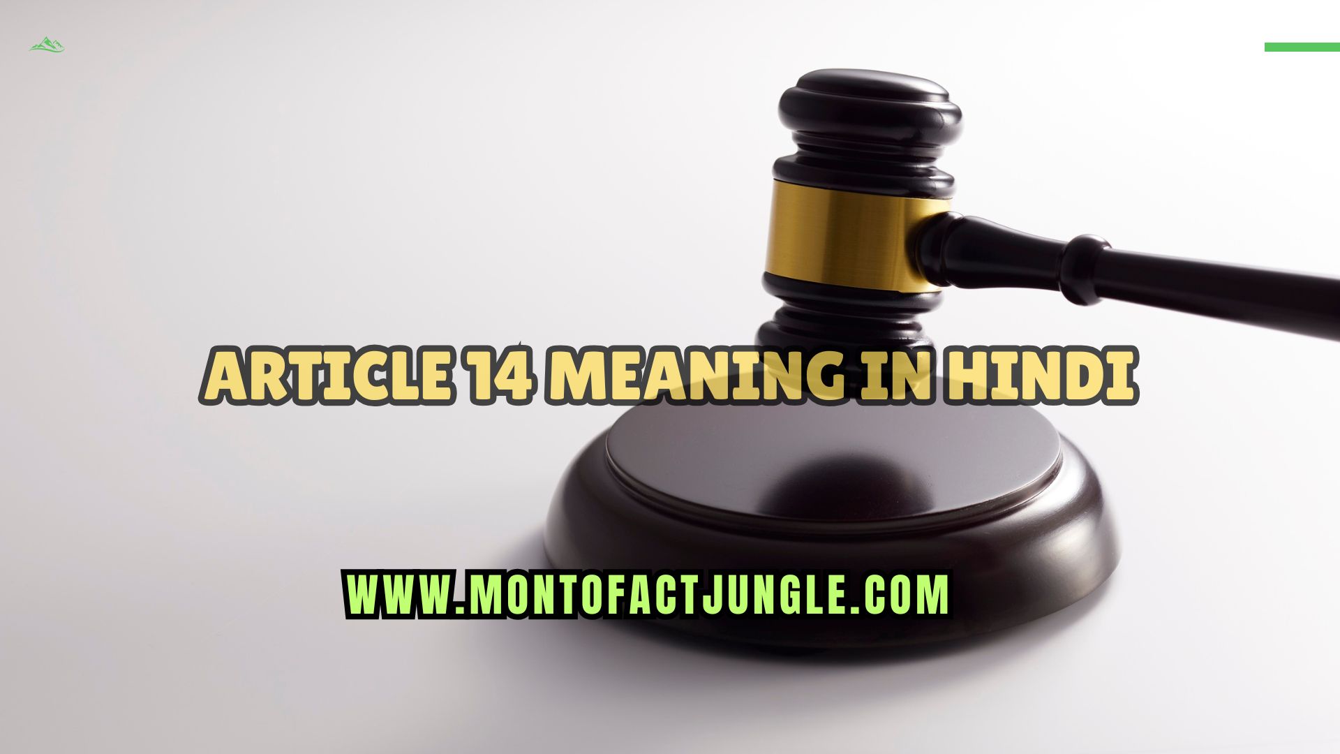 Article 14 Meaning in Hindi
