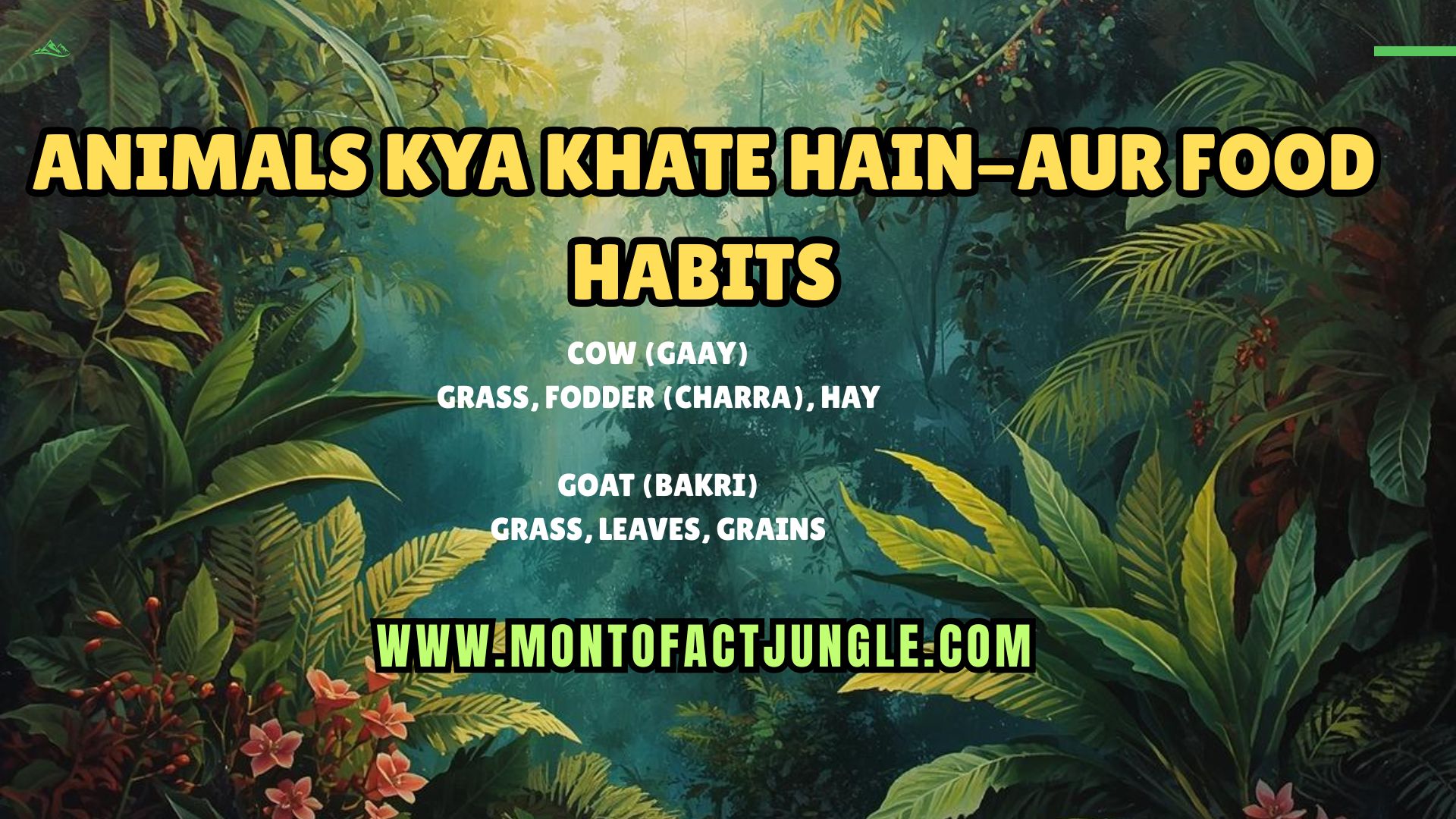 Animals Kya Khate Hain-Aur Food habits